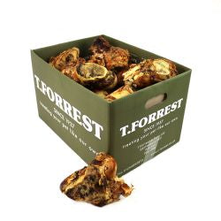 T Forrest - Roasted Knuckle Bone (Junior 1pce)