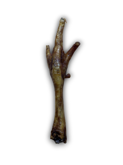 Anco Naturals air-dried turkey foot dog treat rich in calcium and glucosamine for joint health