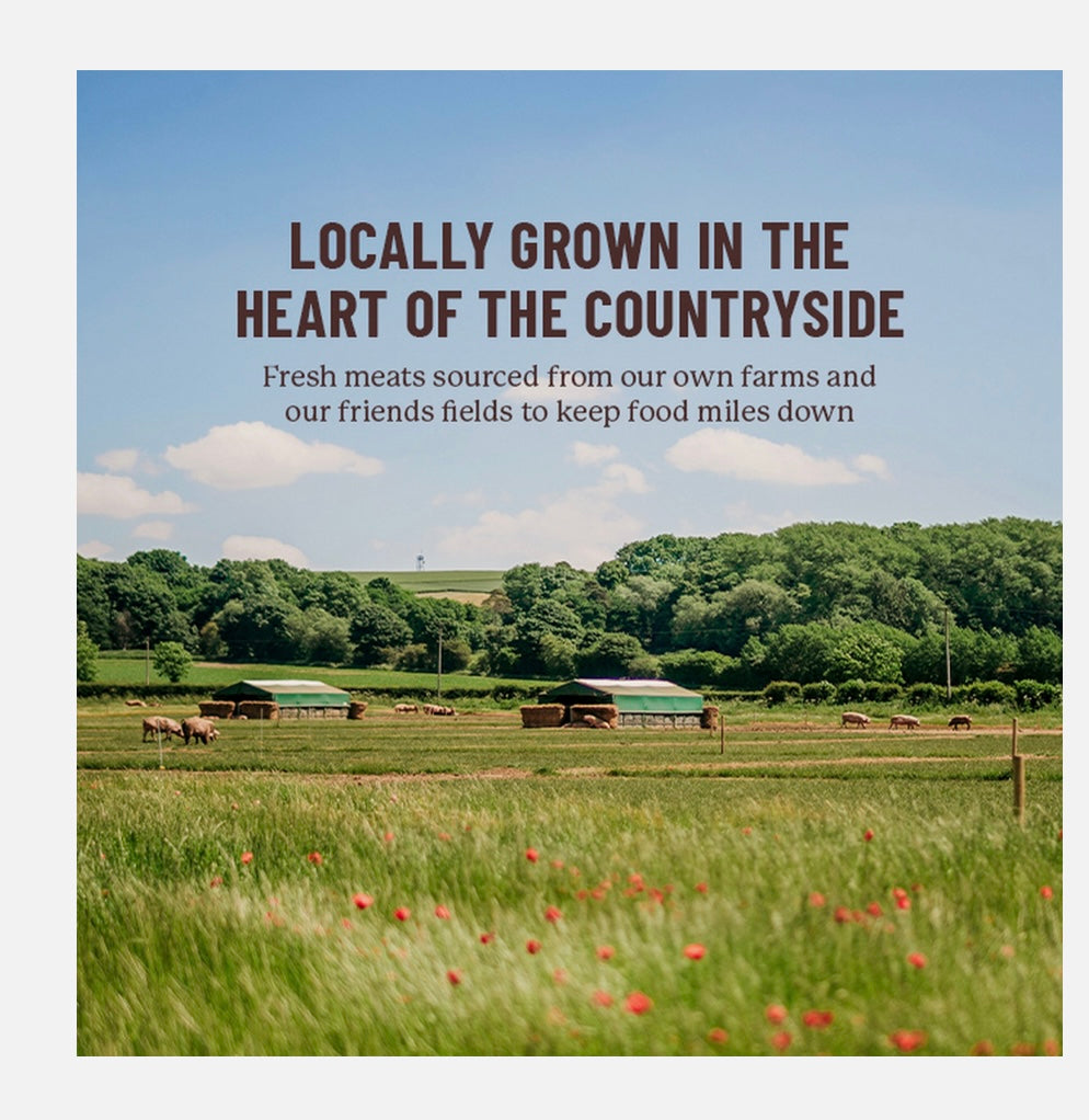 Vitalin - Chicken, Thyme And Root Veg (2kg)