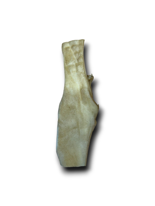 Anco Naturals - Beef Stick - Large (1pc)