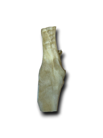 Anco Naturals - Beef Stick - Large (1pc)