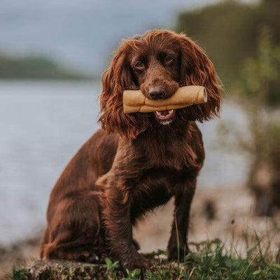 Anco Naturals - Buffalo Rolls Medium (1pc)