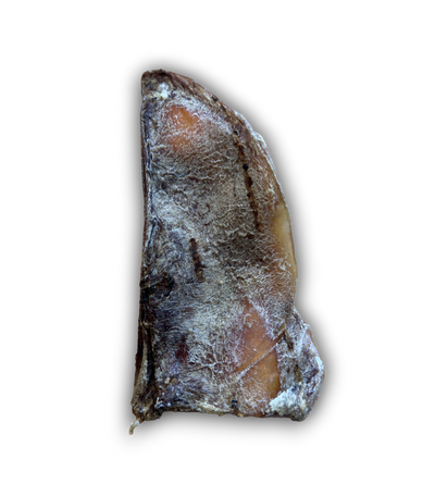 Anco Naturals - Moon Bones (1Pc)