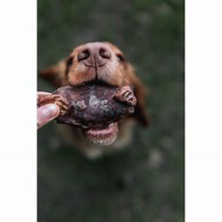 Dog biting Anco Naturals Bully Dangler treat held by hand
