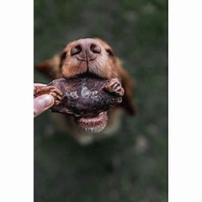 Dog biting Anco Naturals Bully Dangler treat held by hand