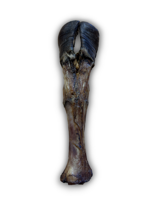 Anco Naturals - Giant Cow Leg (1pc)