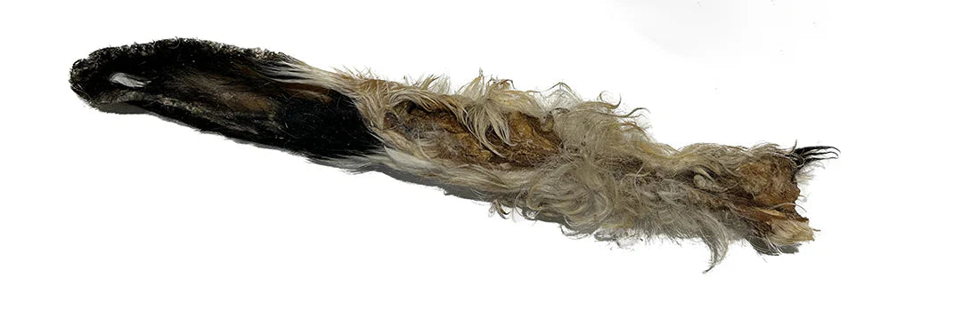 Anco Naturals Hairy Lamb Ear Stick dog treat with ear and hair for health benefits