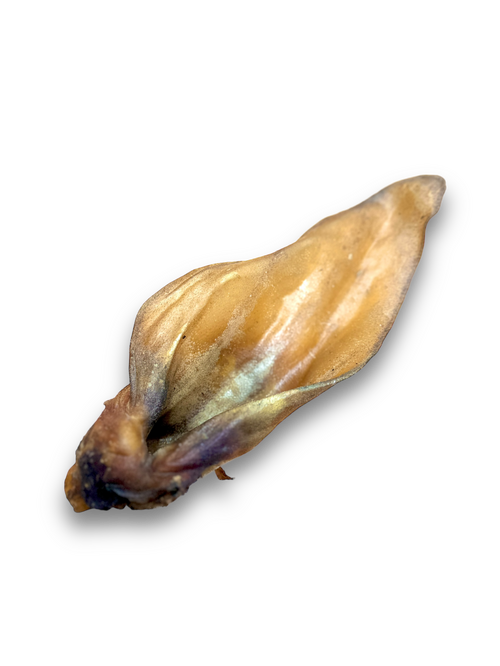 The Petstore - Water Buffalo Ears (1 Pc)