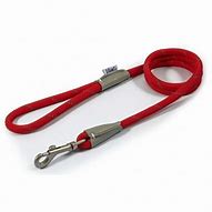 Ancol - Viva Rope Lead Reflective Red (1.20 x 1CM 30kg) (Copy)