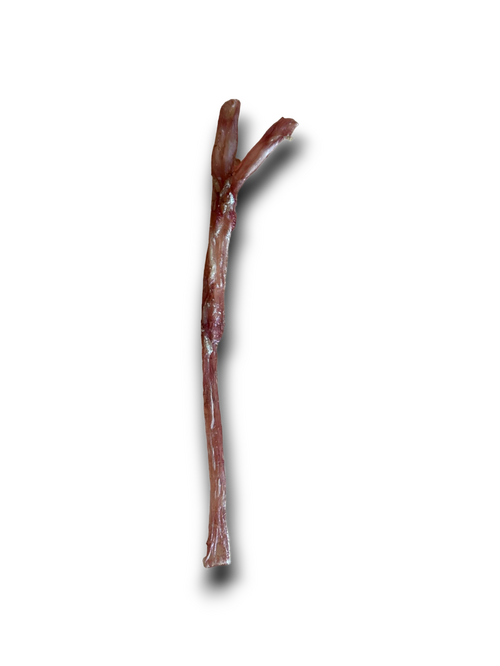 Burns - Air Dried Fresh Tendons (1pc)