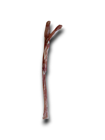 Burns - Air Dried Fresh Tendons (1pc)