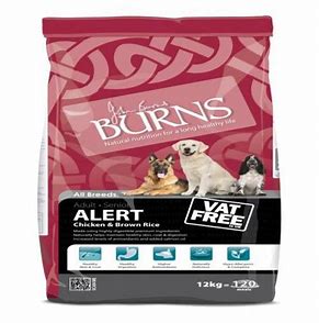 Burns - Alert Chicken (12kg)