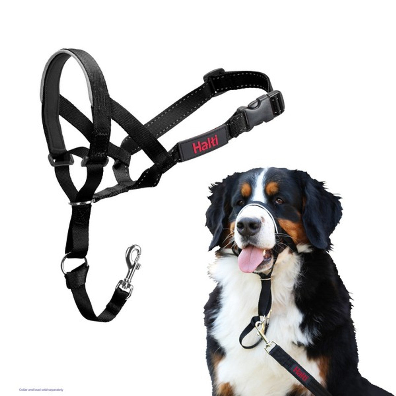 CoA Halti - Headcollar Size 4 Black