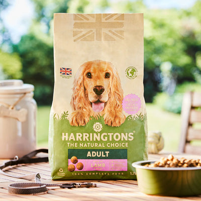 Harringtons - Adult Lamb & Rice (1.7kg)