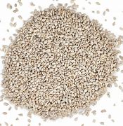 The Pet Store - (1KG) Sunflower Hearts