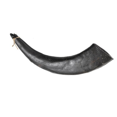 Hollings - Jumbo Buffalo Horn (1pc)