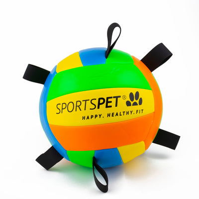 Sports Pet - Tab Volleyball (size 2)