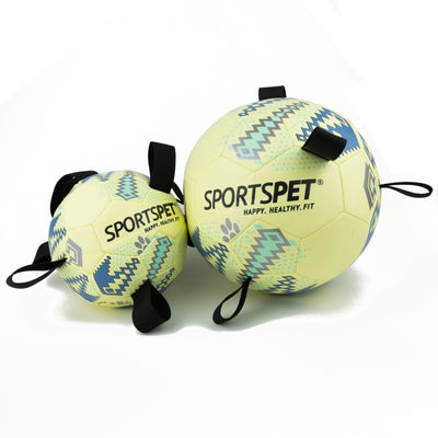 Sports Pet - Tab Footballs (size 2)