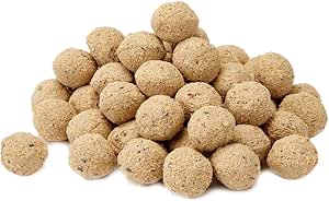 The Pet Store - Energy Boost Suet Balls with Insects (6 Pc)