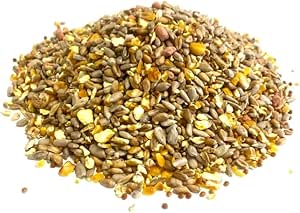 The Pet Store  - (500G) No Mess No Grow Bird Seed