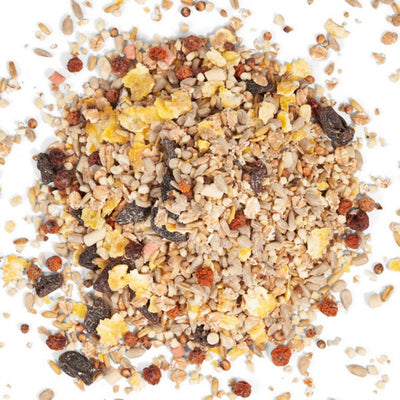 The Petstore - (1KG) Song Bird Mix