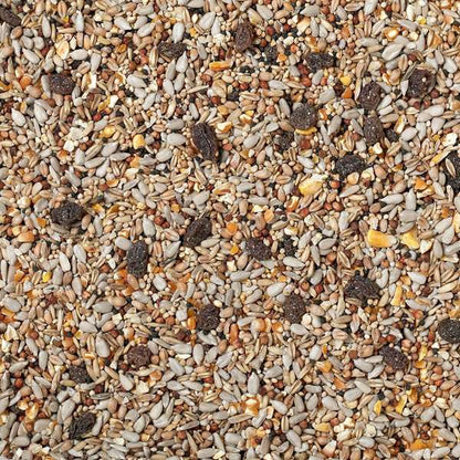 The Pet Store - (500G) Wild Bird Food with Fruit
