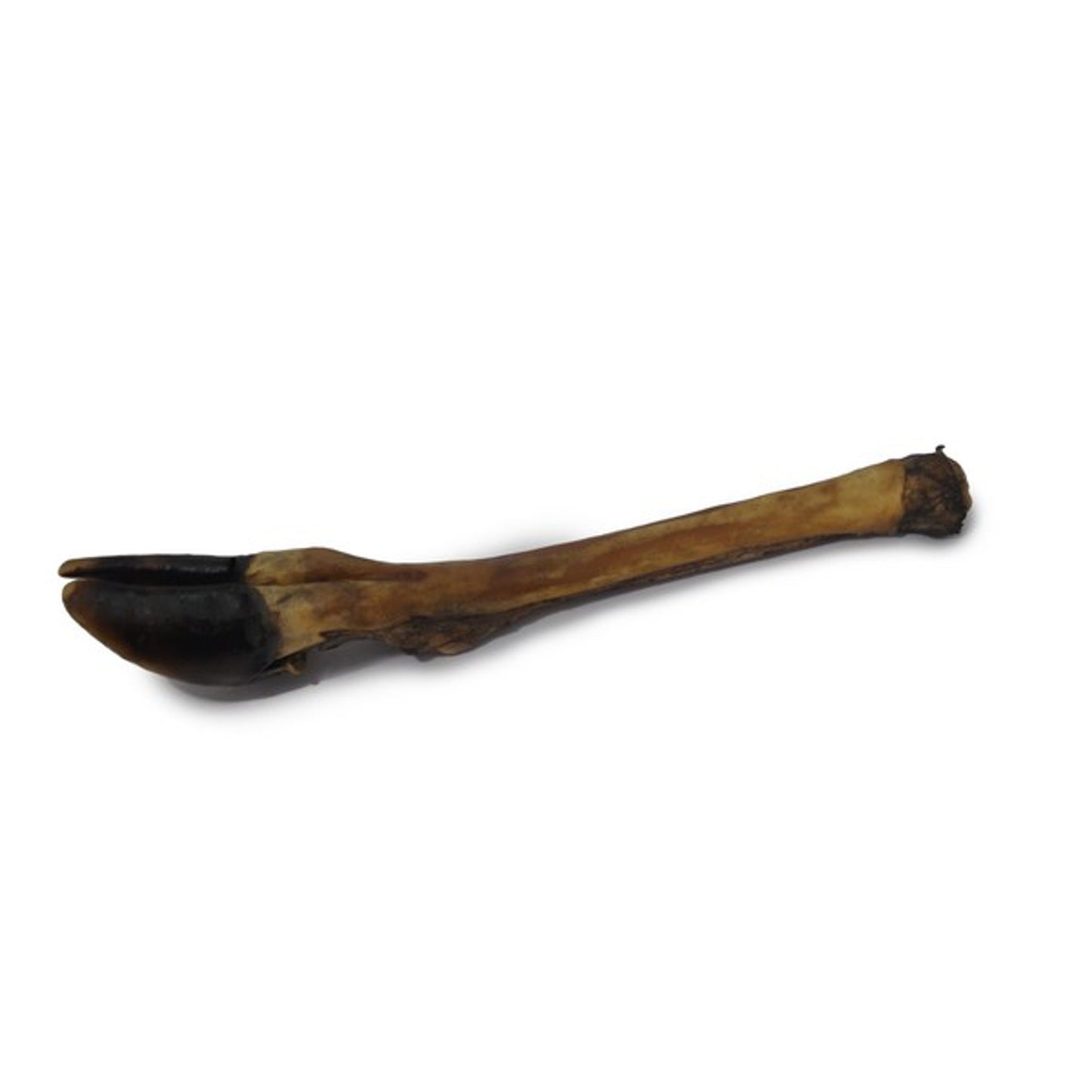 The Pet Store - Air Dried Deer Leg Natural (1pc)