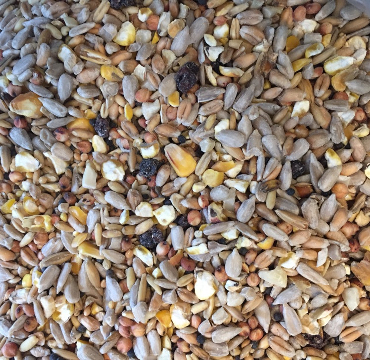 The Pet Store - Wild Bird Seed (400g)