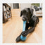 KONG Squeak Stix Large