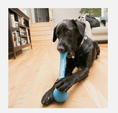 KONG Squeak Stix Large