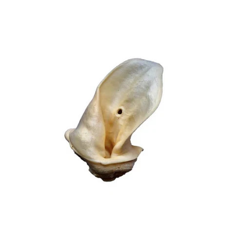 Anco Naturals Meaty Cow Ear dog chew, air-dried, high protein, low fat, natural treat