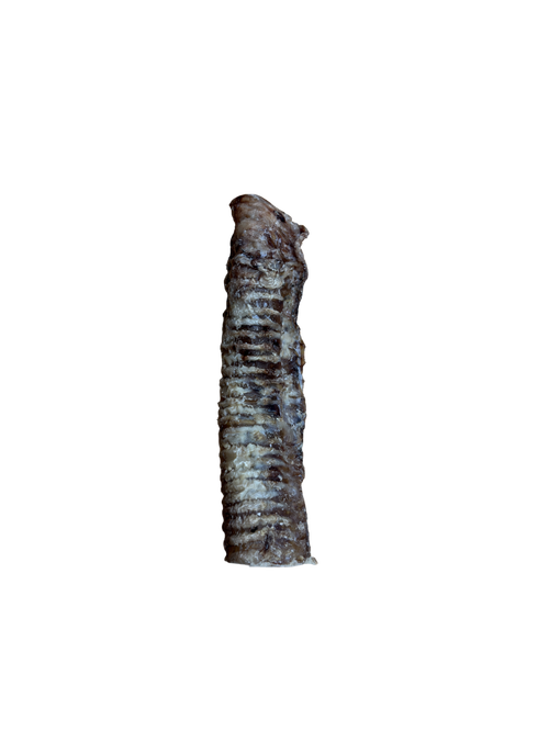 Anco Naturals Bully Tube dog chew treat rich in protein and joint-supporting nutrients