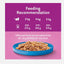 WHISKAS 1+ Ocean Menu Cat Food in Jelly 6x400g