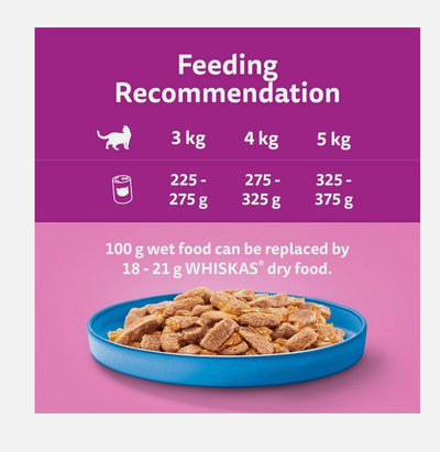 WHISKAS 1+ Ocean Menu Cat Food in Jelly 6x400g