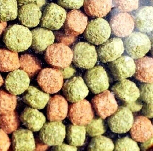 The Pet Store - Rainbow Mixed Pond Pellets (750g)