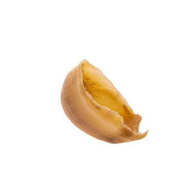 The Pet Store - Air Dried Beef Hooves (1pc)