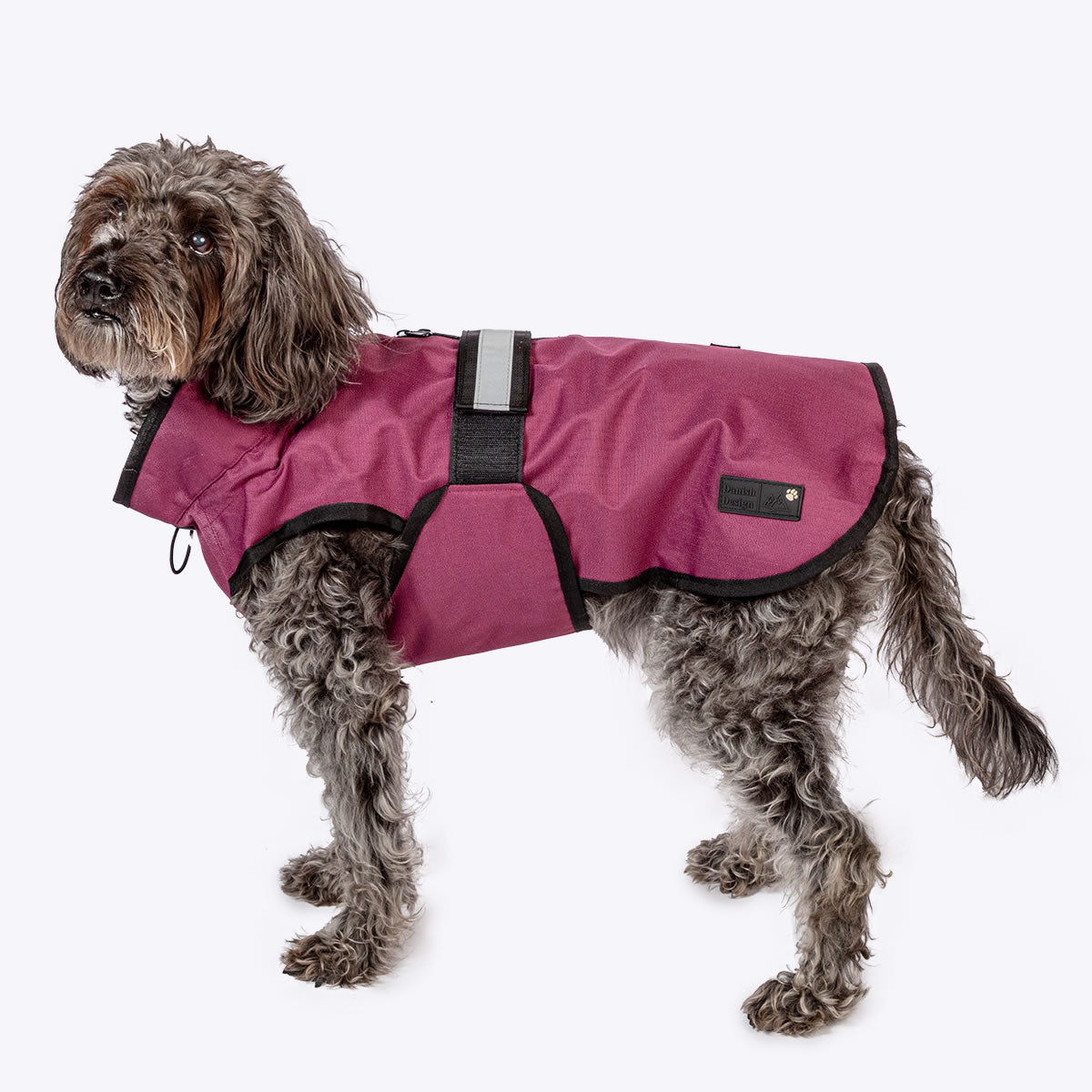 Danish Design - 3 in 1 Dog Coat - Medium (41cm) - Plum